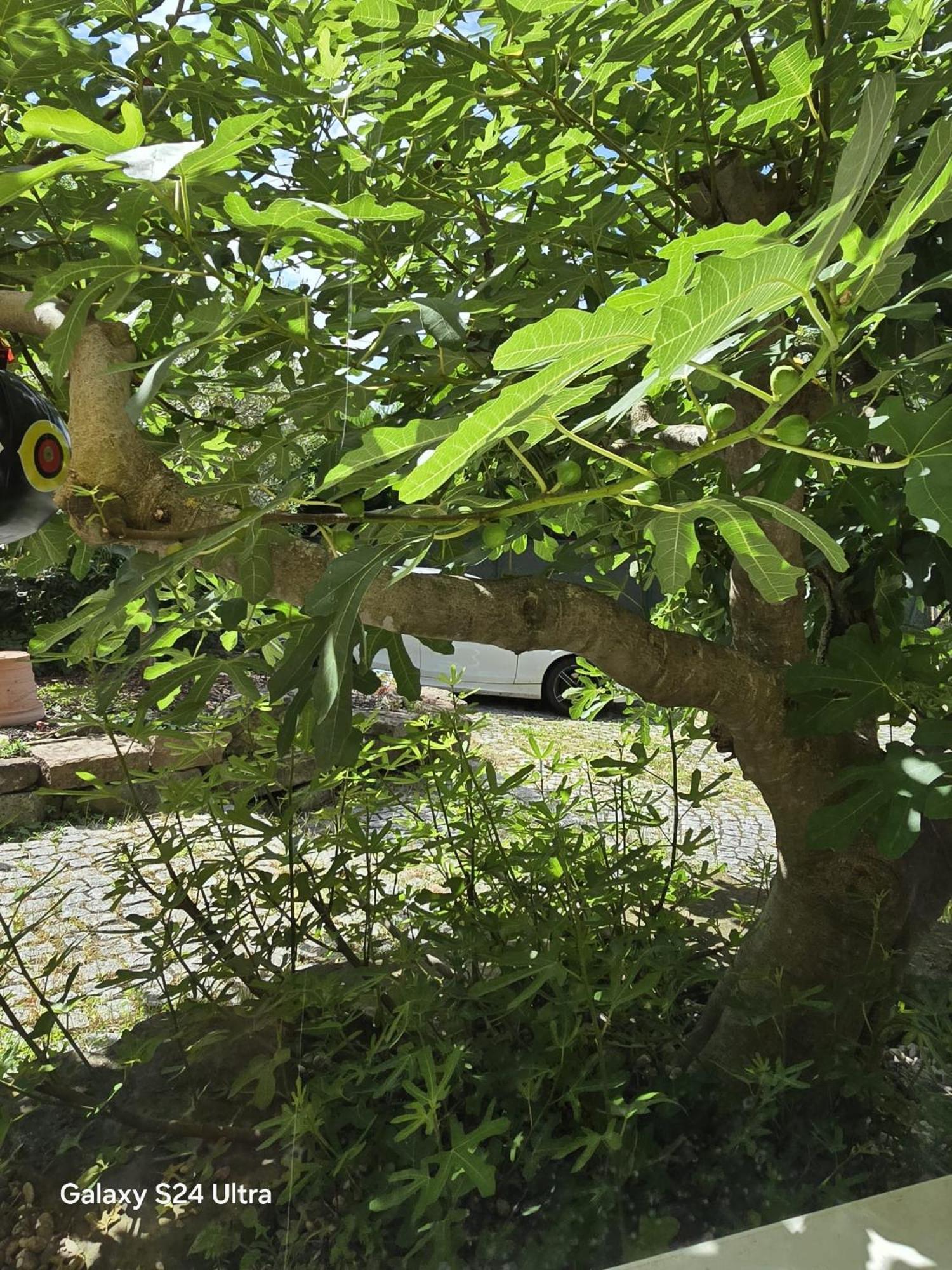 Chambre Privative Au Rez De Jardin Dans Villa La Wantzenau Esterno foto