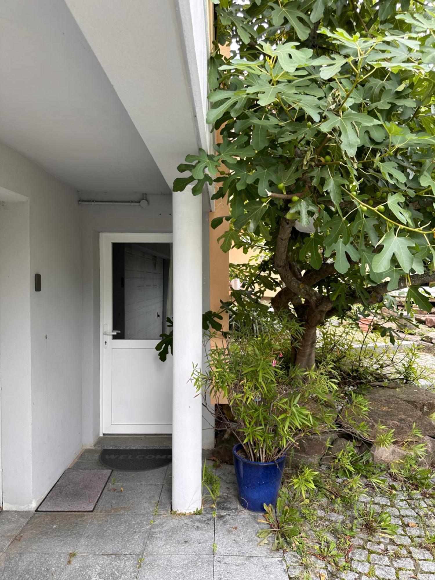 Chambre Privative Au Rez De Jardin Dans Villa La Wantzenau Esterno foto
