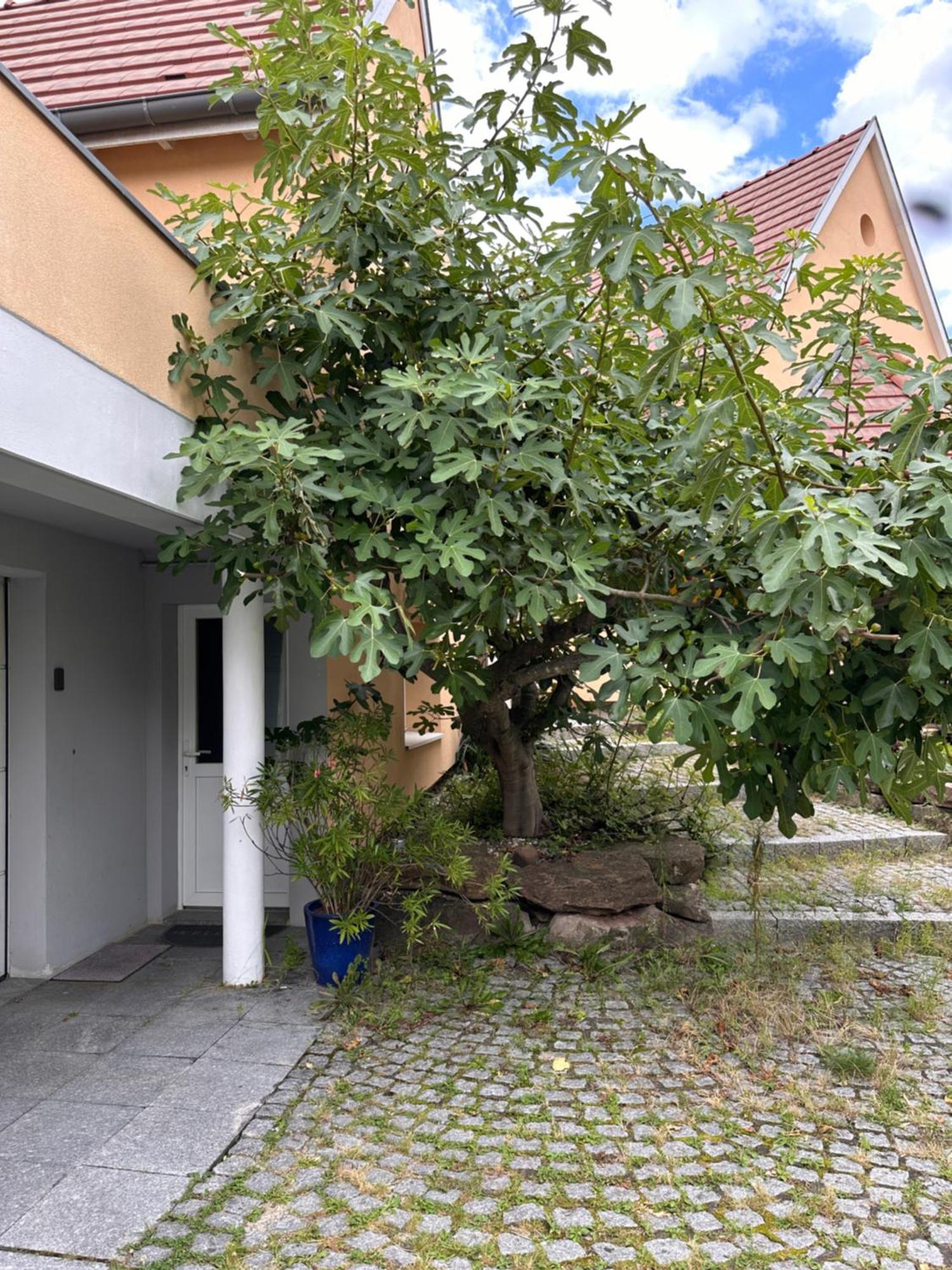 Chambre Privative Au Rez De Jardin Dans Villa La Wantzenau Esterno foto